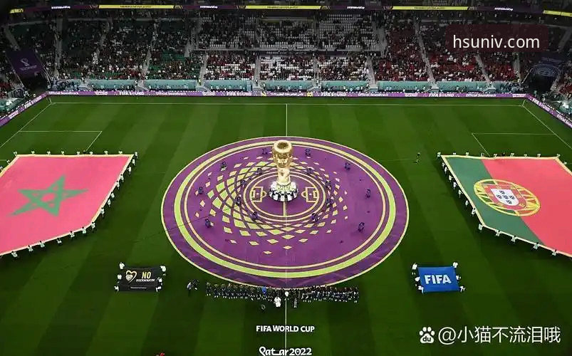 <h2>传奇视角与平台体验：深度解析卡洛斯的葡萄牙之行与世界杯前瞻</h2>